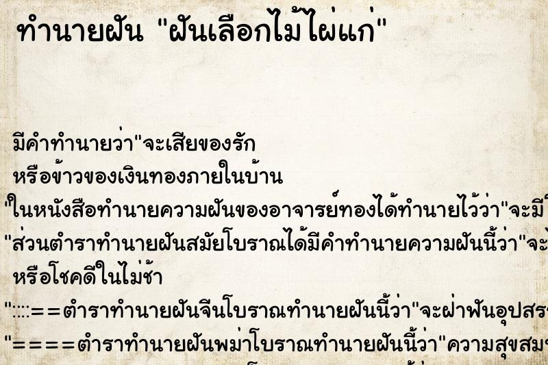 ทำนายฝันฝันเลือกไม้ไผ่แก่ ทำนายฝันทำนายฝันฝันเลือกไม้ไผ่แก่