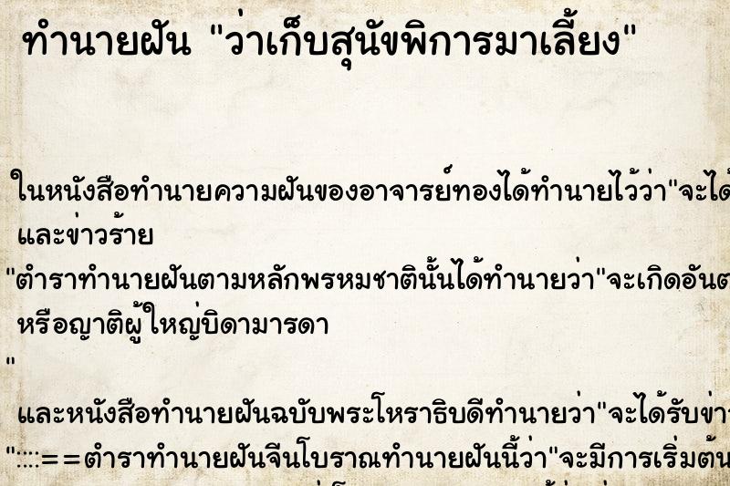 ทำนายฝันทำนายฝันว่าเก็บสุนัขพิการมาเลี้ยง