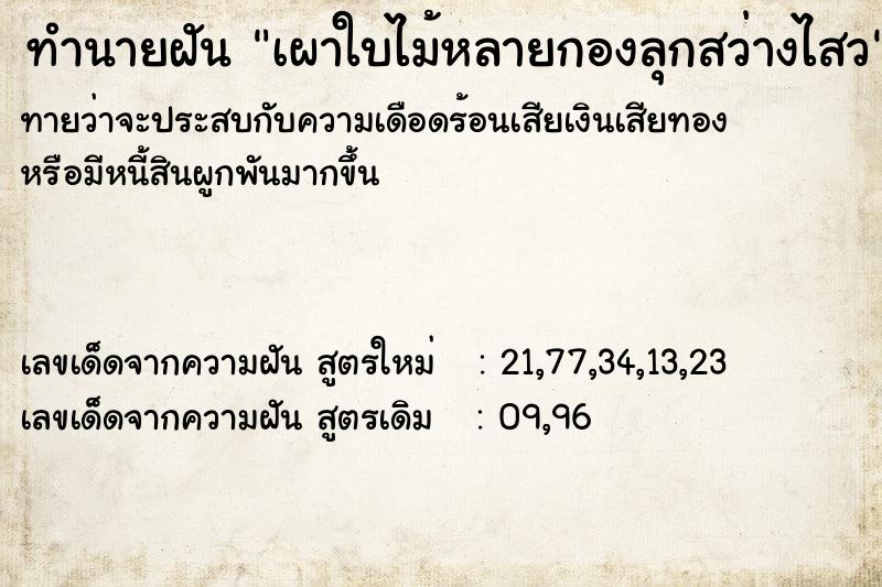 ทำนายฝันเผาใบไม้หลายกองลุกสว่างไสว ทำนายฝันทำนายฝันเผาใบไม้หลายกองลุกสว่างไสว