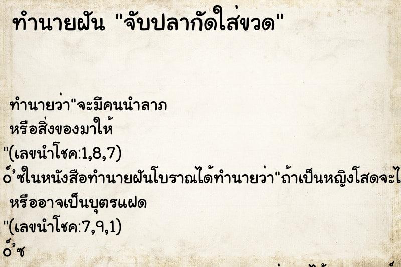 ทำนายฝัน จับปลากัดใส่ขวด