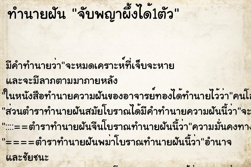 ทำนายฝัน จับพญาผึ้งได้1ตัว