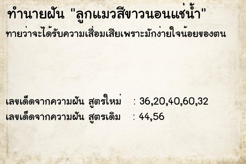 ทำนายฝันลูกแมวสีขาวนอนแช่น้ำ ทำนายฝันทำนายฝันลูกแมวสีขาวนอนแช่น้ำ