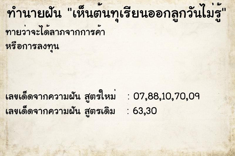 ทำนายฝันเห็นต้นทุเรียนออกลูกวันไม่รู้ ทำนายฝันทำนายฝันเห็นต้นทุเรียนออกลูกวันไม่รู้