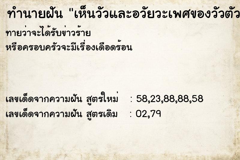 ทำนายฝันเห็นวัวและอวัยวะเพศของวัวตัวผู้ ทำนายฝันทำนายฝันเห็นวัวและอวัยวะเพศของวัวตัวผู้