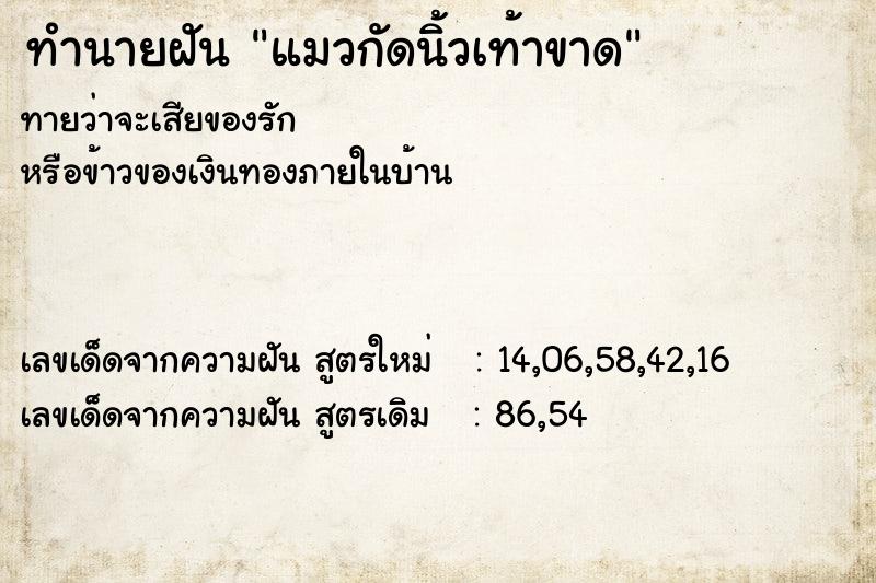 ทำนายฝัน แมวกัดนิ้วเท้าขาด ตำราโบราณ แม่นที่สุดในโลก