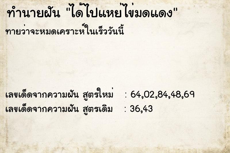 ทำนายฝันได้ไปแหย่ไข่มดแดง ทำนายฝันทำนายฝันได้ไปแหย่ไข่มดแดง