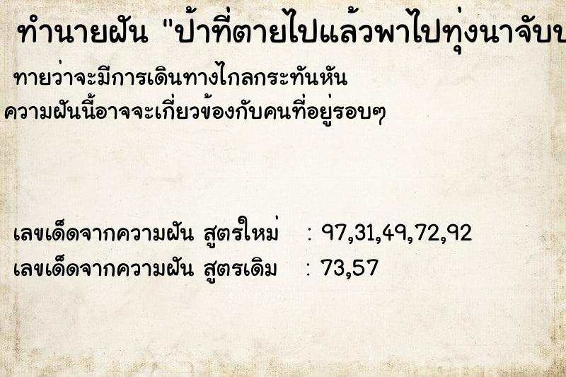 ทำนายฝันป้าที่ตายไปแล้วพาไปทุ่งนาจับปลา ทำนายฝันทำนายฝันป้าที่ตายไปแล้วพาไปทุ่งนาจับปลา