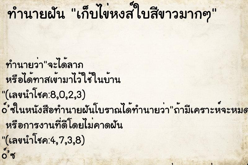 ทำนายฝันเก็บไข่หงส์ใบสีขาวมากๆ ทำนายฝันทำนายฝันเก็บไข่หงส์ใบสีขาวมากๆ