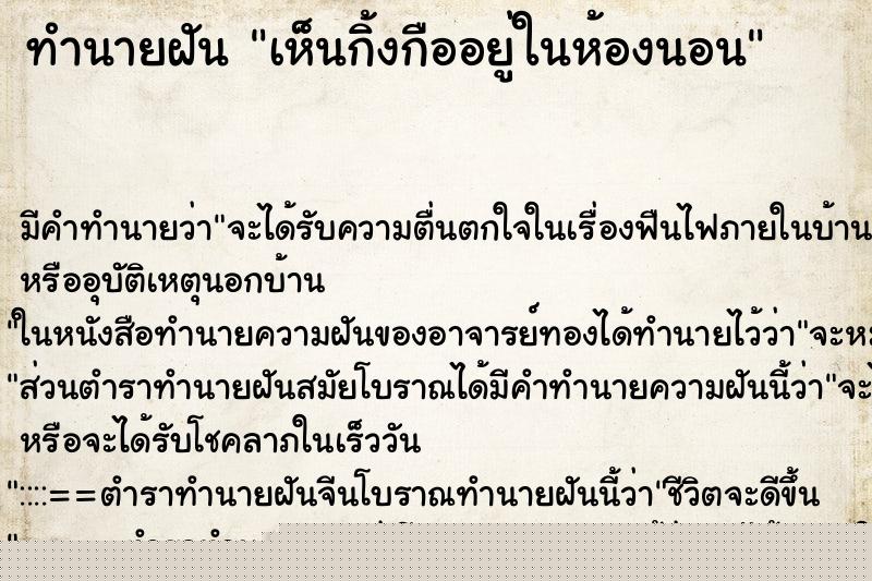 ทำนายฝันทำนายฝันเห็นกิ้งกืออยู่ในห้องนอน