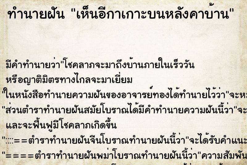 ทำนายฝัน เห็นอีกาเกาะบนหลังคาบ้าน ทำนายฝัน เห็นอีกาเกาะบนหลังคาบ้าน