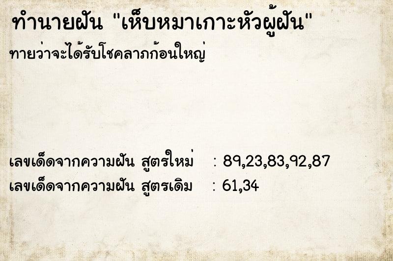 ทำนายฝันเห็บหมาเกาะหัวผู้ฝัน ทำนายฝันทำนายฝันเห็บหมาเกาะหัวผู้ฝัน