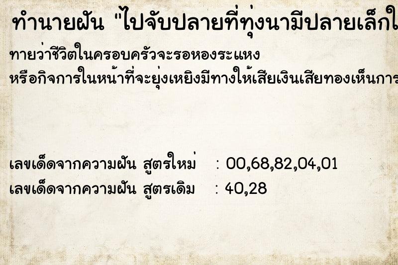 ทำนายฝันไปจับปลายที่ทุ่งนามีปลายเล็กใหญ่เยอะมากจับง่าย ทำนายฝันทำนายฝันไปจับปลายที่ทุ่งนามีปลายเล็กใหญ่เยอะมากจับง่าย