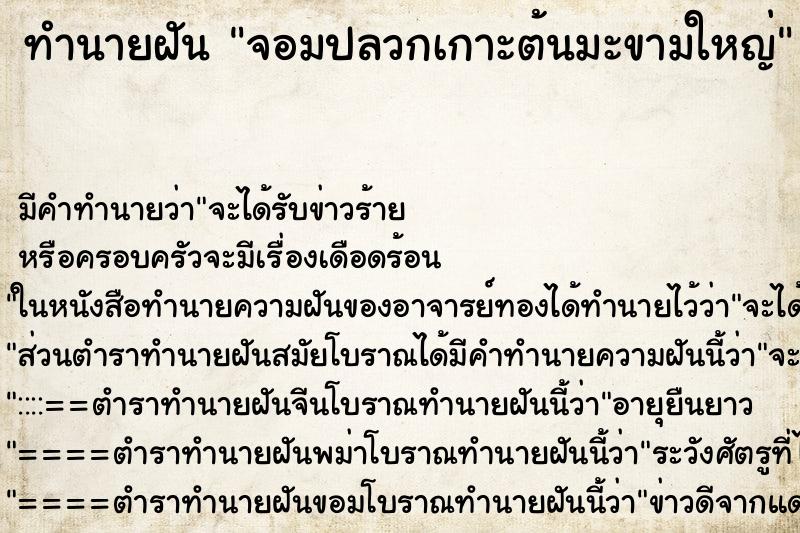 ทำนายฝันจอมปลวกเกาะต้นมะขามใหญ่ ทำนายฝันทำนายฝันจอมปลวกเกาะต้นมะขามใหญ่
