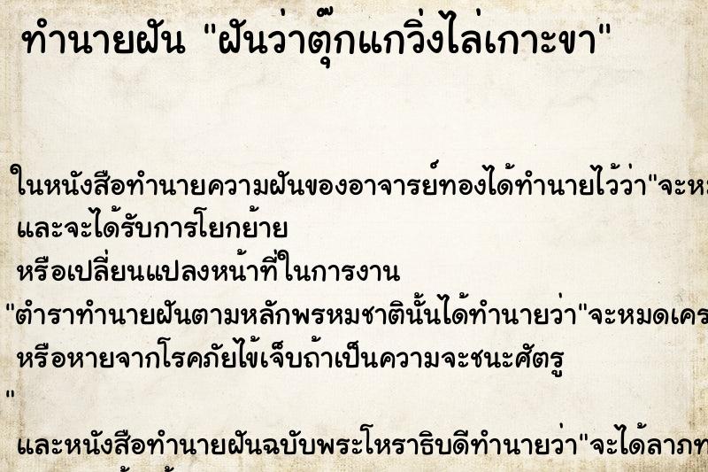 ทำนายฝันทำนายฝันฝันว่าตุ๊กแกวิ่งไล่เกาะขา