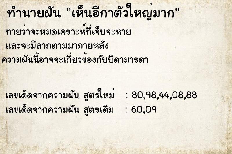 ทำนายฝันเห็นอีกาตัวใหญ่มาก ทำนายฝันทำนายฝันเห็นอีกาตัวใหญ่มาก