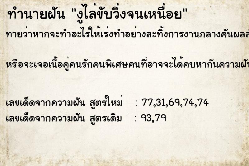 ทำนายฝันทำนายฝันงูไล่ขับวิ่งจนเหนื่อย