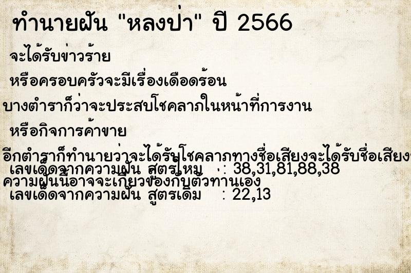 ทำนายฝัน หลงป่า ทำนายฝัน หลงป่า