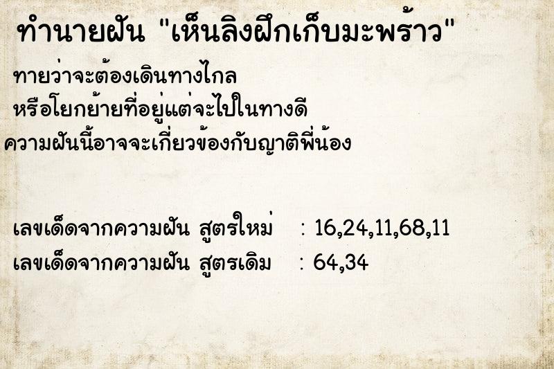 ทำนายฝันเห็นลิงฝึกเก็บมะพร้าว ทำนายฝันทำนายฝันเห็นลิงฝึกเก็บมะพร้าว