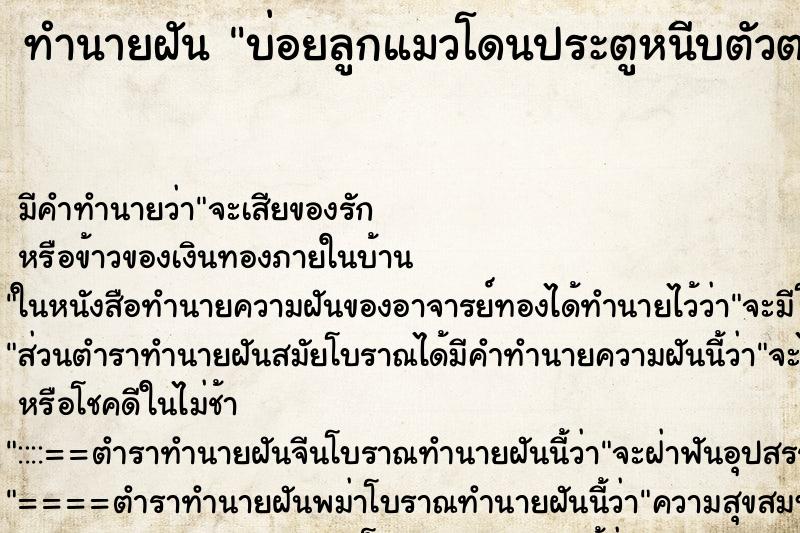 ทำนายฝันบ่อยลูกแมวโดนประตูหนีบตัวตายคาประตู ทำนายฝันทำนายฝันบ่อยลูกแมวโดนประตูหนีบตัวตายคาประตู
