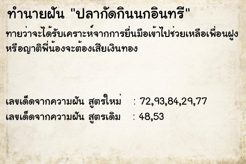 ทำนายฝันปลากัดกินนกอินทรี ทำนายฝันทำนายฝันปลากัดกินนกอินทรี