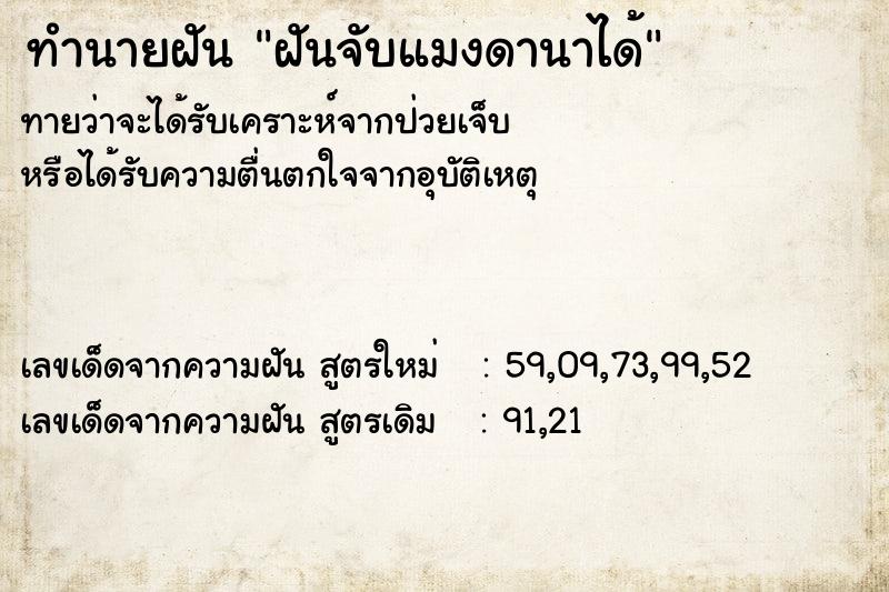 ทำนายฝันฝันจับแมงดานาได้ ทำนายฝันทำนายฝันฝันจับแมงดานาได้