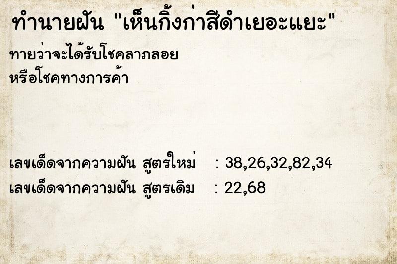 ทำนายฝันทำนายฝันเห็นกิ้งก่าสีดำเยอะแยะ