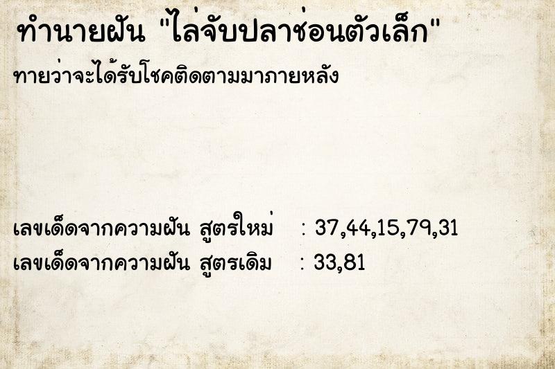 ทำนายฝันไล่จับปลาช่อนตัวเล็ก ทำนายฝันทำนายฝันไล่จับปลาช่อนตัวเล็ก