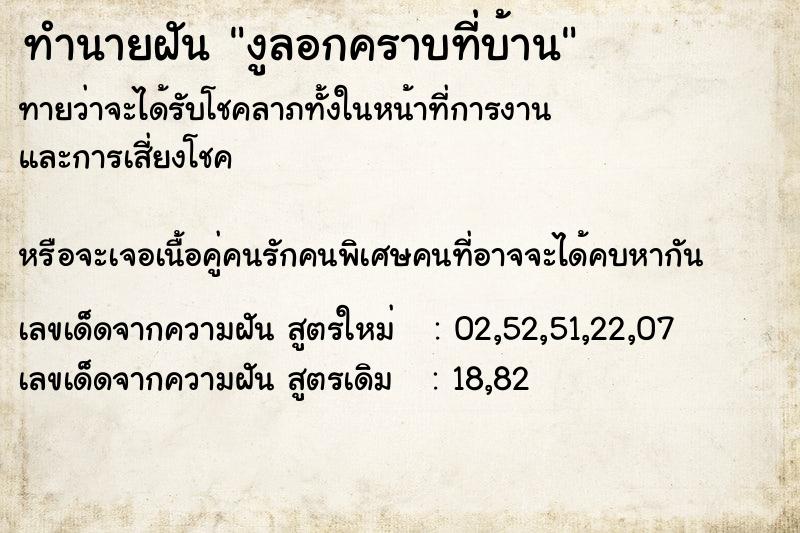 ทำนายฝันงูลอกคราบที่บ้าน ทำนายฝันทำนายฝันงูลอกคราบที่บ้าน