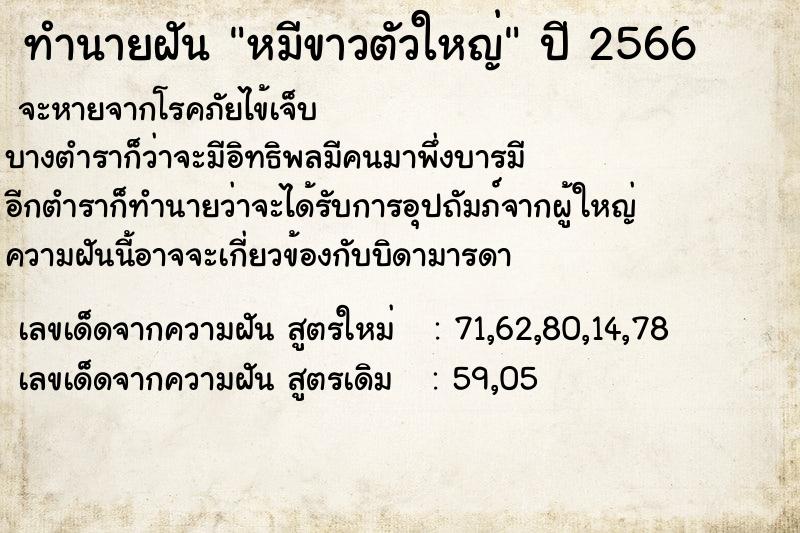 ทำนายฝัน หมีขาวตัวใหญ่ ทำนายฝัน หมีขาวตัวใหญ่