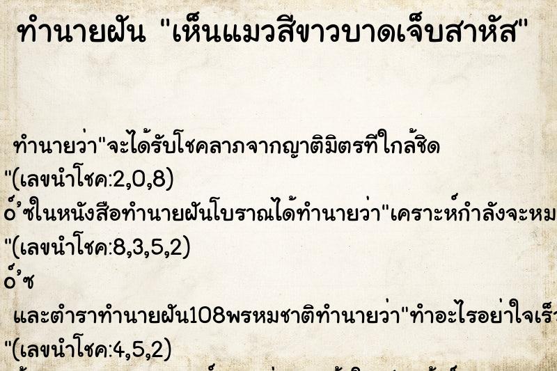 ทำนายฝันเห็นแมวสีขาวบาดเจ็บสาหัส ทำนายฝันทำนายฝันเห็นแมวสีขาวบาดเจ็บสาหัส