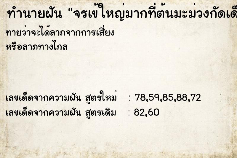 ทำนายฝันจรเข้ใหญ่มากที่ต้นมะม่วงกัดเด็ก ทำนายฝันทำนายฝันจรเข้ใหญ่มากที่ต้นมะม่วงกัดเด็ก