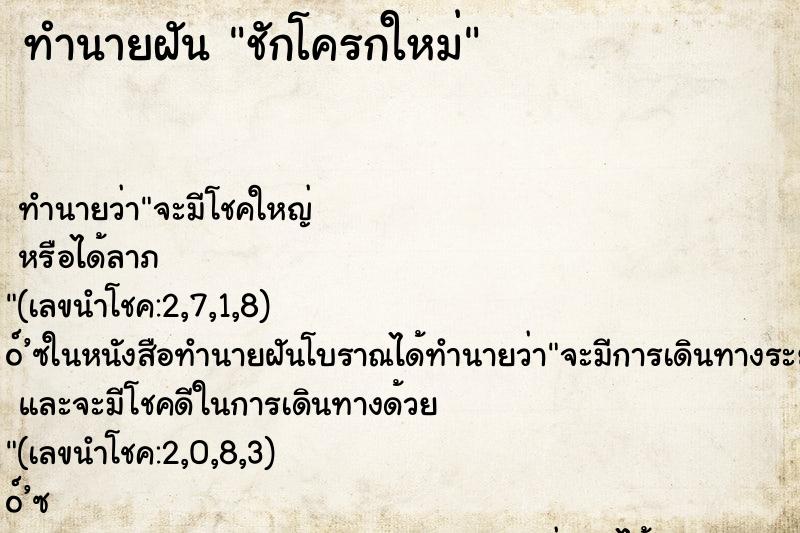ทำนายฝัน ชักโครกใหม่ ทำนายฝัน ชักโครกใหม่