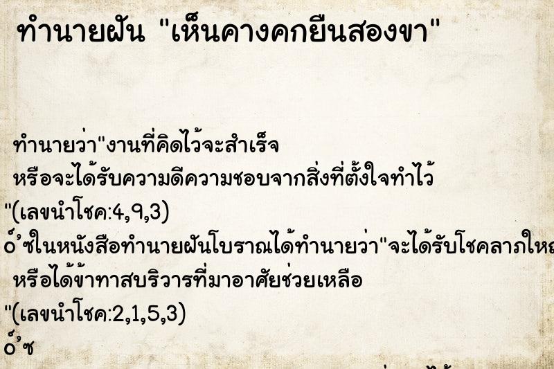 ทำนายฝันเห็นคางคกยืนสองขา ทำนายฝันทำนายฝันเห็นคางคกยืนสองขา