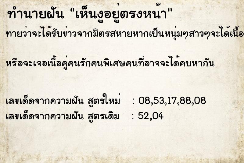 ทำนายฝัน เห็นงูอยู่ตรงหน้า ทำนายฝัน เห็นงูอยู่ตรงหน้า