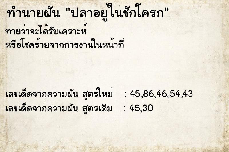 ทำนายฝันปลาอยู่ในชักโครก ทำนายฝันทำนายฝันปลาอยู่ในชักโครก