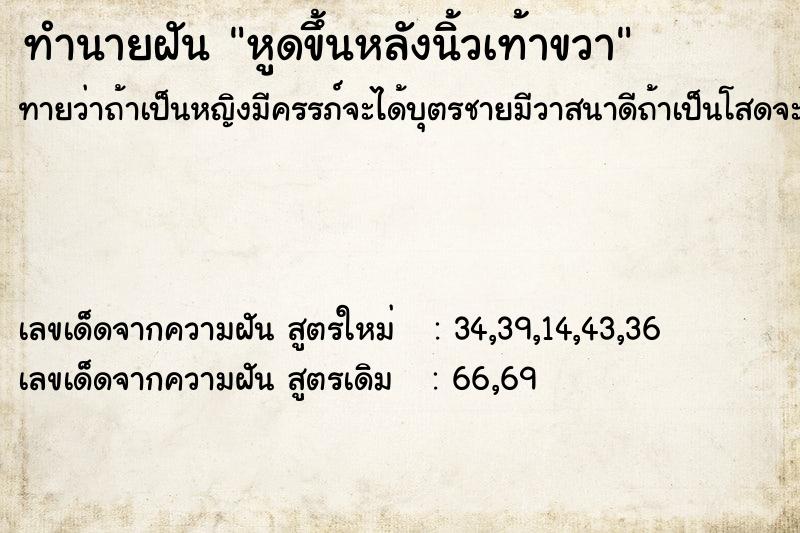 ทำนายฝันหูดขึ้นหลังนิ้วเท้าขวา ทำนายฝันทำนายฝันหูดขึ้นหลังนิ้วเท้าขวา