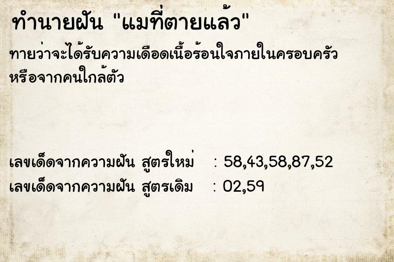 ทำนายฝัน แมที่ตายแล้ว ตำราโบราณ แม่นที่สุดในโลก