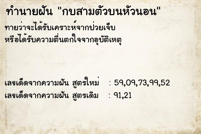 ทำนายฝันกบสามตัวบนหัวนอน ทำนายฝันทำนายฝันกบสามตัวบนหัวนอน