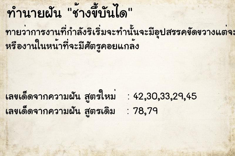 ทำนายฝันช้างขึ้บันได ทำนายฝันทำนายฝันช้างขึ้บันได