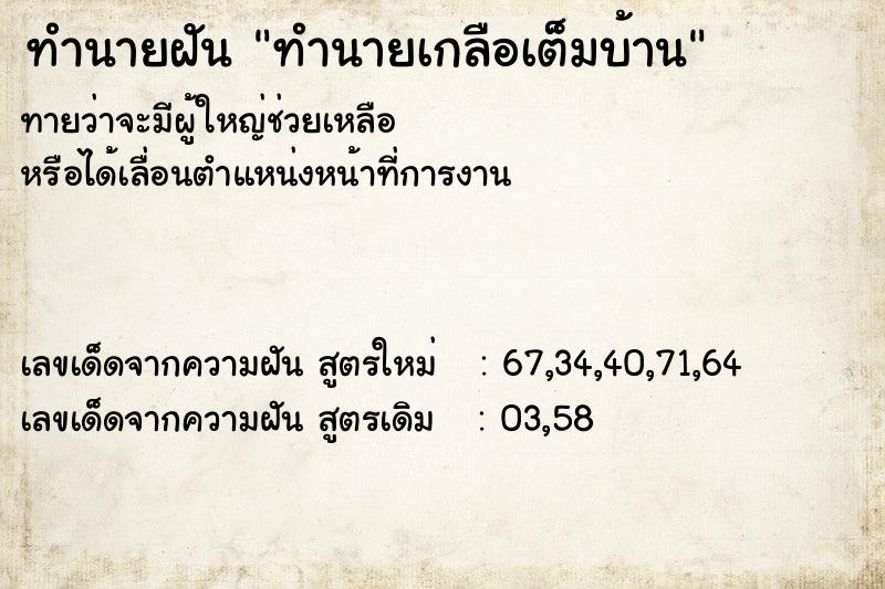 ทำนายฝันทำนายเกลือเต็มบ้าน ทำนายฝันทำนายฝันทำนายเกลือเต็มบ้าน