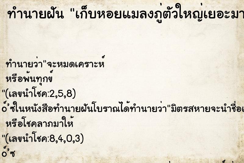ทำนายฝัน เก็บหอยแมลงภู่ตัวใหญ่เยอะมาก