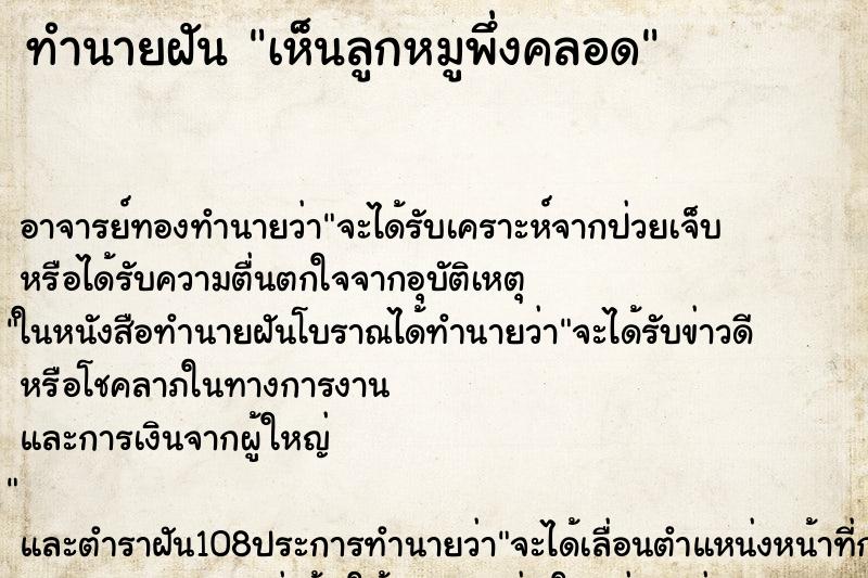 ทำนายฝัน เห็นลูกหมูพึ่งคลอด