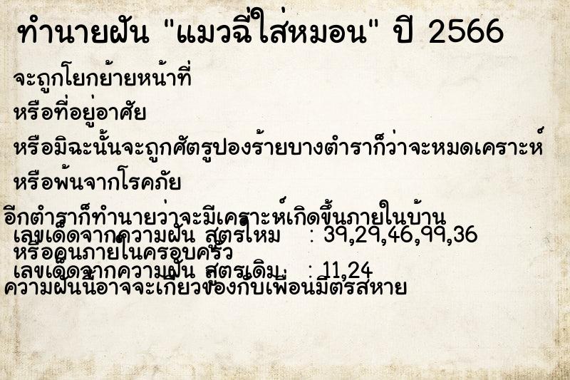 ทำนายฝัน แมวฉี่ใส่หมอน ทำนายฝัน แมวฉี่ใส่หมอน
