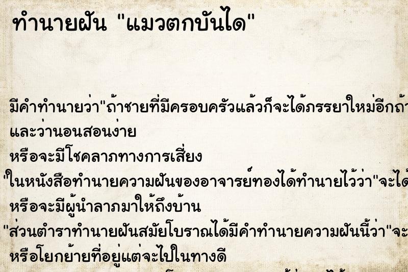 ทำนายฝัน แมวตกบันได ทำนายฝัน แมวตกบันได