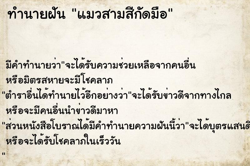 ทำนายฝัน แมวสามสีกัดมือ ทำนายฝัน แมวสามสีกัดมือ