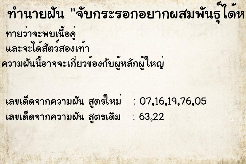 ทำนายฝันทำนายฝันจับกระรอกอยากผสมพันธุ์ได้หลายตัว