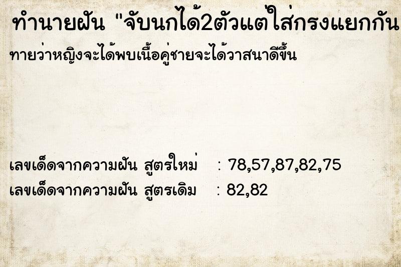 ทำนายฝันจับนกได้2ตัวแต่ใส่กรงแยกกัน ทำนายฝันทำนายฝันจับนกได้2ตัวแต่ใส่กรงแยกกัน