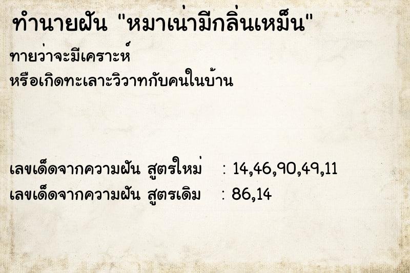 ทำนายฝันทำนายฝันหมาเน่ามีกลิ่นเหม็น