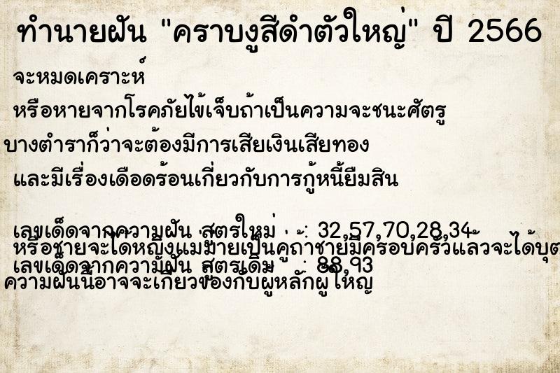 ทำนายฝันคราบงูสีดำตัวใหญ่ ทำนายฝันทำนายฝันคราบงูสีดำตัวใหญ่