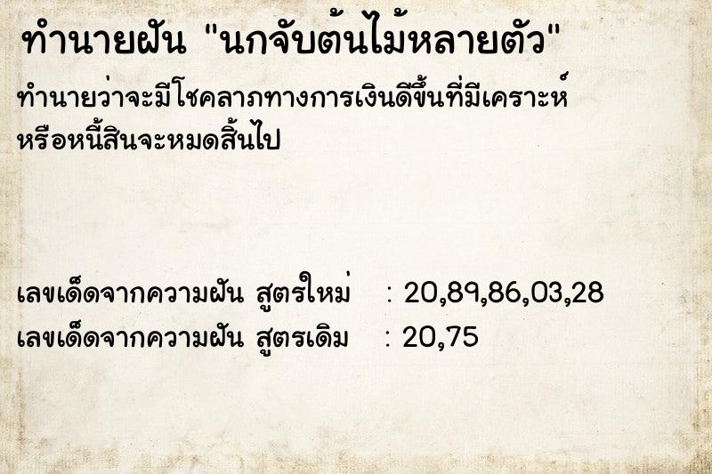 ทำนายฝันนกจับต้นไม้หลายตัว ทำนายฝันทำนายฝันนกจับต้นไม้หลายตัว